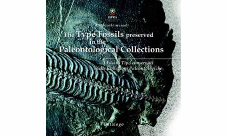 The Type Fossils preserved in the Paleontological Collections