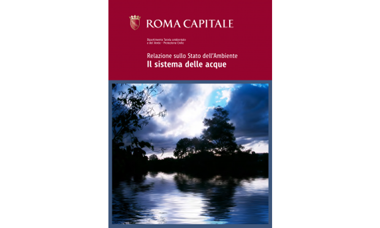 Il sistema delle acque - Relazione sullo Stato dell&#146;Ambiente. Dipartimento Tutela ambientale e del Verde - Protezione Civile - Roma Capitale